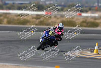 media/Jan-19-2024-Apex Assassins-CVMA Friday (Fri) [[74e94f2102]]/Trackday 1/Session 2 (Turn 11)/